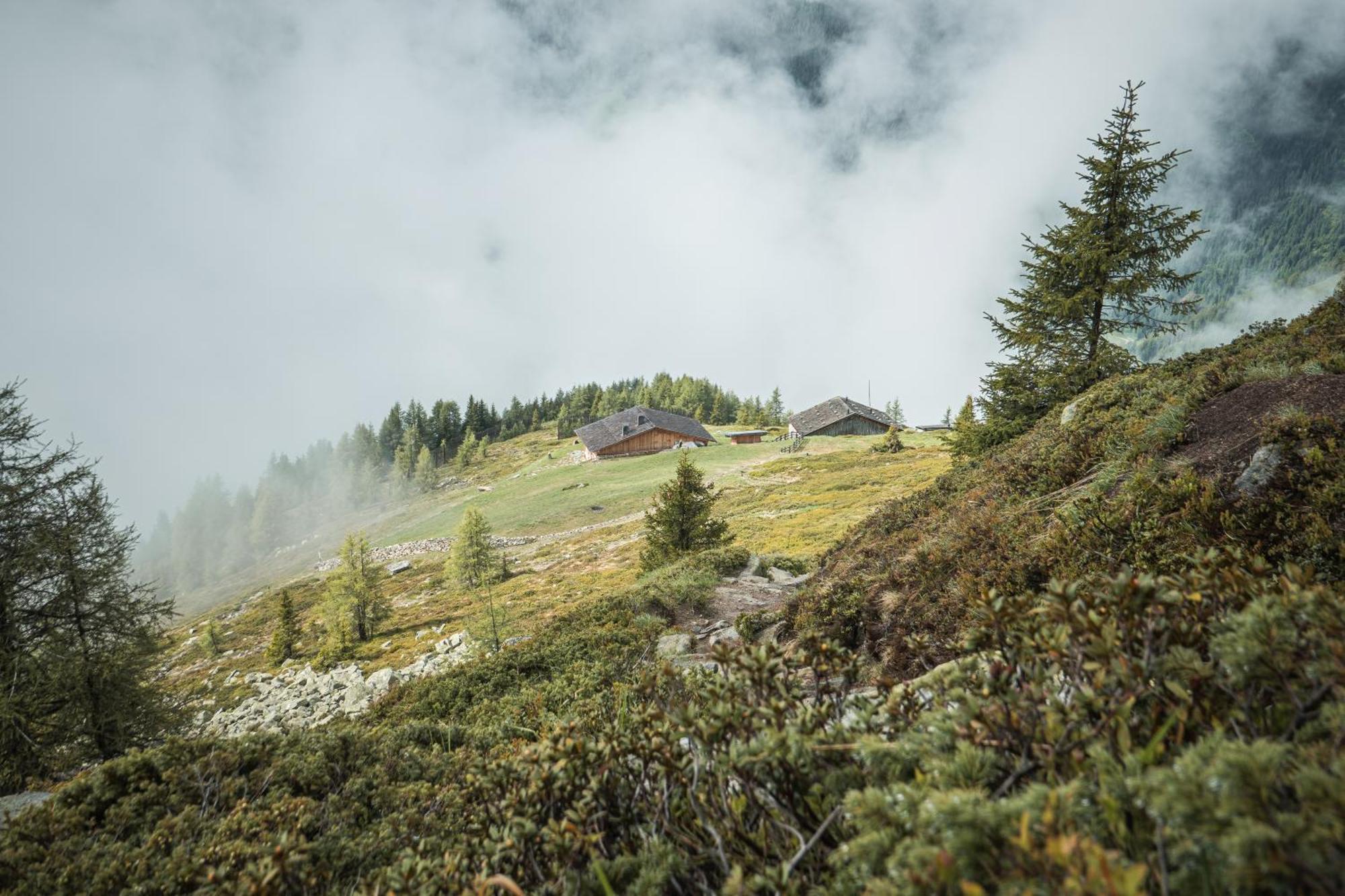Apparthotel Sonnwies Selva dei Molini Exteriér fotografie